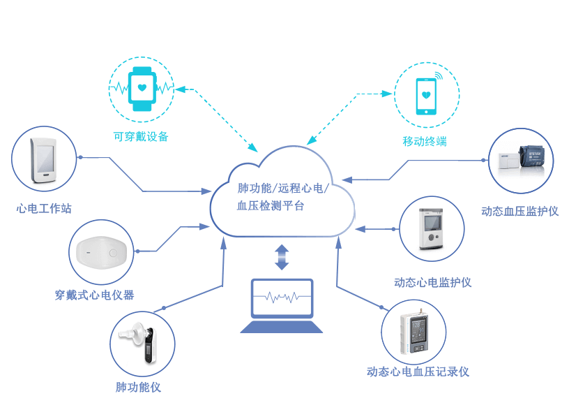 百慧産品樹