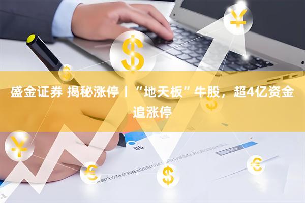 盛金证券 揭秘涨停丨“地天板”牛股，超4亿资金追涨停