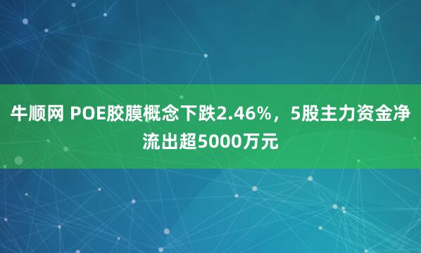 牛顺网 POE胶膜概念下跌2.46%，5股主力资金净流出超5000万元