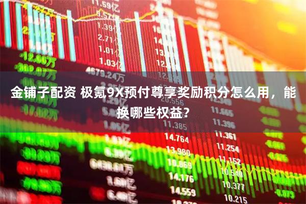 金铺子配资 极氪9X预付尊享奖励积分怎么用，能换哪些权益？