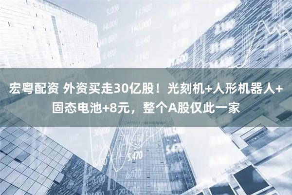 宏粤配资 外资买走30亿股！光刻机+人形机器人+固态电池+8元，整个A股仅此一家